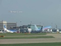 thomsonfly bird strike