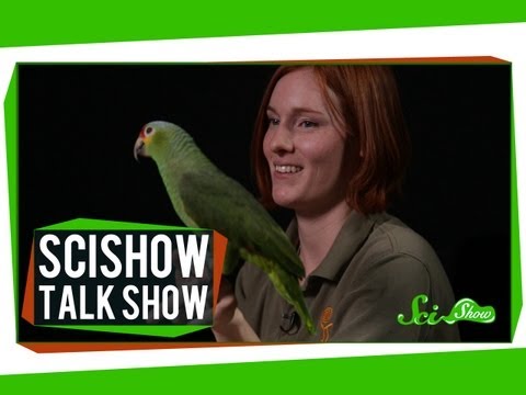 Amazon - Emily Graslie of The Brain Scoop is back again to stump Hank and to tell us about some fascinating new research in the field of rat telepathy (NO JOKE). Then...
