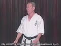 (S) Jak broni? si? przed atakami w stylu Kyokushin [sprzyciarze.pl]