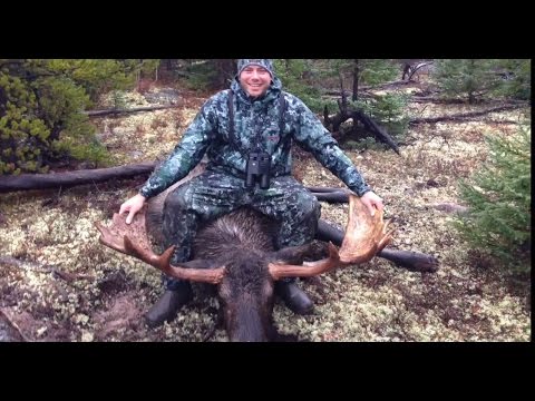moose from canadian hunting trip