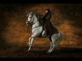 vid�o avec les photos de yann arthus bertrand. chevaux et citations