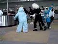 dresses as a bunny dresses as a bunny