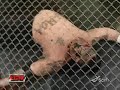 WWE-ECW: Lashley break the cage!!! WWE-ECW: Lashley break the cage!!!