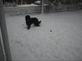 Neve ans snow - part 2