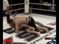 Aleksandar Rodja Radosavljevic Highlight