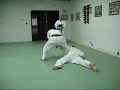 My aikido brown belt test