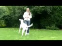Sprung übers Bein