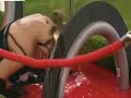 shilpa shetty boobs exposed in celebrity show big brother