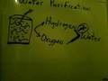 Water Purification & Desalination