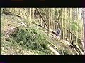 tracteur latil3.wmv