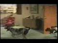 Nationale-videokwis