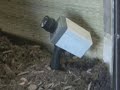 The Village Petstore and Charcoal Grill - CCTV The Village Petstore and Charcoal Grill - CCTV