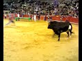 el raton en la plaza de toros de valencia 2008