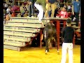 El raton en la plaza de toros de valencia 2008