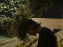 adham..headbanging location...gezira club!