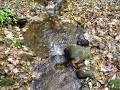 Stream near Moffat Stream near Moffat