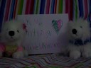 Ask Me Anything Episode 2!