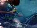 Camcuber solves a cube underwater