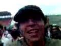 Los 3 groupies