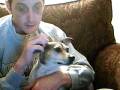 videos de Video 11