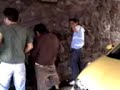 todos miando jajaja