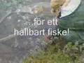 Ett hållbart fiske!