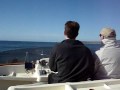 I uploaded a YouTube video -- Riva 50 Boating Trip - Long Beach to LA Harbor http://bit.ly/8ZNZcY