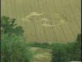 Ufologia a Montegranaro - Cerchi nel grano 2 Ufologia a Montegranaro - Cerchi nel grano 2