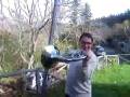 videos de Divieto di Fa
