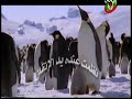 سيد نقشبندي