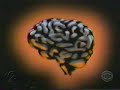 Craig Kilborn video 3