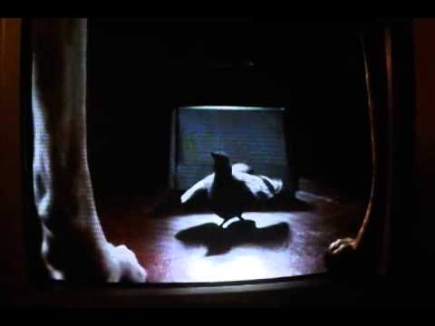 my favourite scene from cats and dogs 2