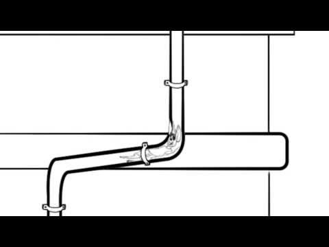 how to stop squirrels climbing drain pipes