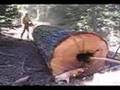 West Coast Loggers