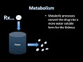 Drug Metabolism
