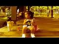 Laugh and Cry by Acel