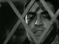 ZDO N�1x3 - Una Sonrisa (Usmiech Zebiczny) - Roman Polanski