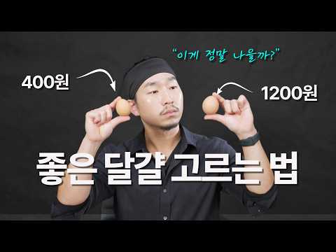 "난각번호와 무항생제 인증만 보고 사면 돈 날립니다" 🥚 마케팅에 속지 않고 '진짜' 좋은 달걀 찾는 법