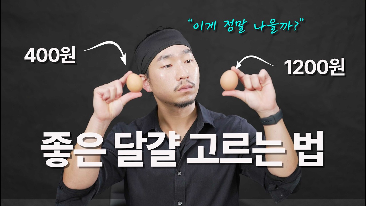 "난각번호와 무항생제 인증만 보고 사면 돈 날립니다" 🥚 마케팅에 속지 않고 '진짜' 좋은 달걀 찾는 법