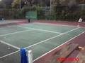 videos de Phil Naessens Tennis Academies International