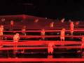 Impression de Sanjie LIU 印象刘三姐
