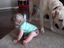 Chandler playing ball with Jake