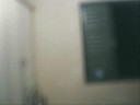 terroristas da rua