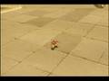 Avatar - Street Rat