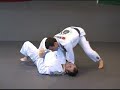Pedro Seminar 1