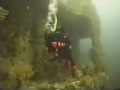 Buceo en Veracruz Buceo en Veracruz