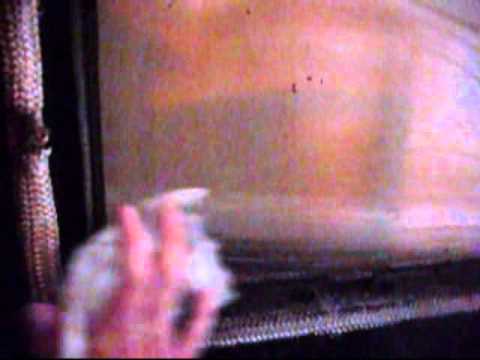 how to eliminate wood stove smell