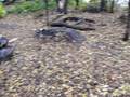 traxxas slash jump 5