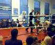 Said vs 1 of andere antiliaan
