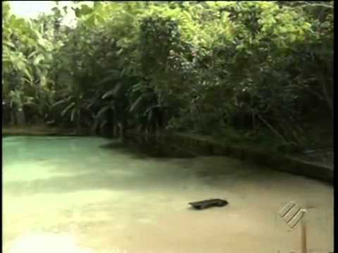 Lago de Igarapé-açu é famoso pela coloração